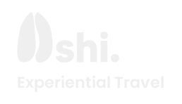Ashi Travel